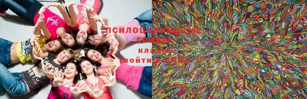 кокс Абаза