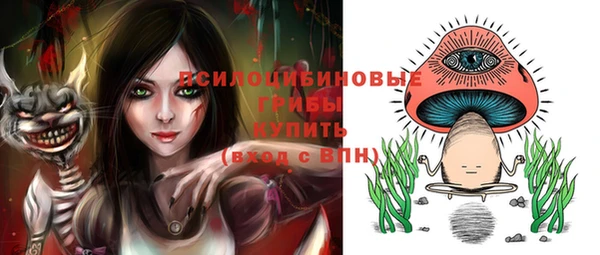 кокс Абаза