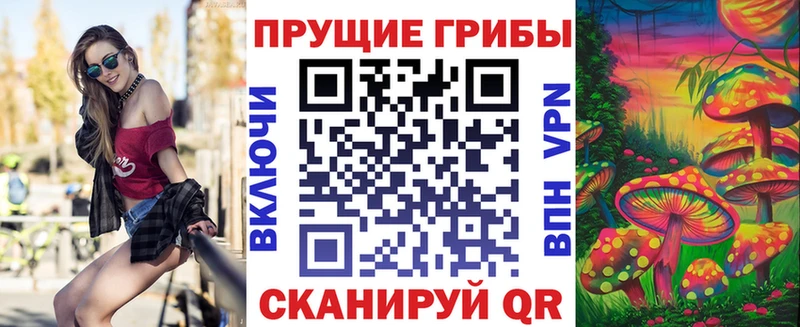 Галлюциногенные грибы Psilocybine cubensis  Эртиль 
