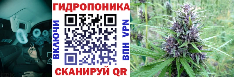 МАРИХУАНА ГИДРОПОН  Эртиль 